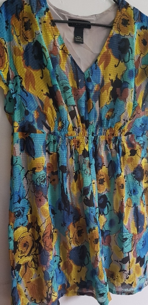 Lane bryant dress